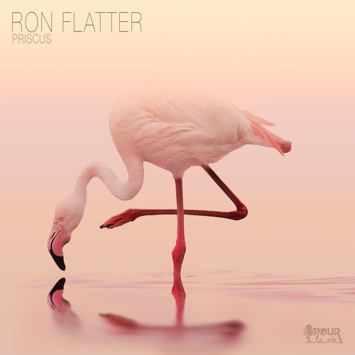 Ron Flatter - Priscus [PLV50]